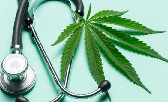 уход за коноплей