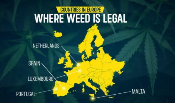 med-legalaizer