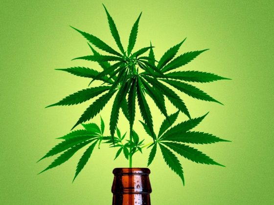 indoor cannabis