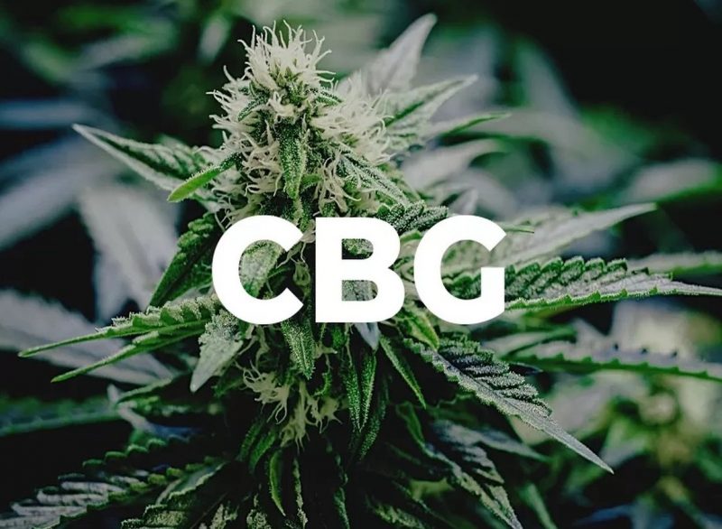 cbg